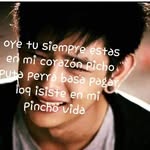Joel Jerónimo - @fredijeronimo - Instagram