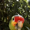 Joel Jeronimocorrea - @joeljeronimocorrea - TikTok