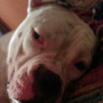 Joel Jervis - Facebook