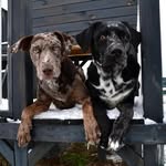 Jaden-Joel - @jester_joel - Instagram