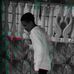 Joel Jose - Facebook