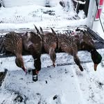 Joel Keim - @dreamchasers_outdoorz - Instagram
