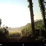 Joel Keim - @joelkeim_2007 - Instagram