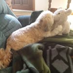 Joel Keys - @joel.keys1947 - Instagram