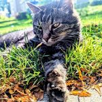 Joel Knott - @joelknott82 - Instagram