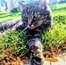 Joel Knott - Facebook