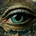 Mrs Joel Knott - Facebook