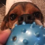 Joel Lacy - @joel_lacy4404 - Instagram