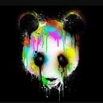 Joel Lacy - @american_panda707 - Instagram