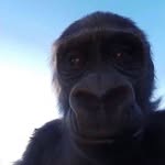 @joelladd_ - Instagram