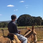 Joel lucas - @joellucas001 - Instagram