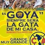 Joel Lucio Hernández - @joelluciohernandez - Instagram
