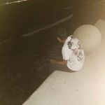Joel Madrigal - @joel_madrigal08 - Instagram