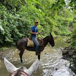Joel Madrigal Fernández - @madrigal_fernandez_joel - Instagram