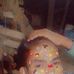 Narvas Joel madrigal 19 - Facebook
