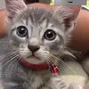 Joel MAIN - @joel.l.art.acc - TikTok