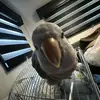 joel_main_ - @joel_alt - TikTok