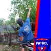 joelmallari300 - @joelmallari300 - TikTok