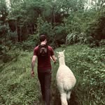 Joel Marks - @joelm216 - Instagram