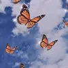 joellemccabe21 - @joellemccabe21 - TikTok