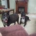 Joel McDowell - Facebook