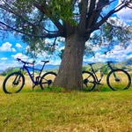 Joel Mcintyre - @mcintyre1584 - Instagram