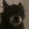 Joel McRae - @joelpriv.1206 - TikTok