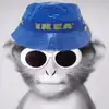 joel_mcswain - @joel_mcswain - TikTok