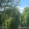 Joel Merkel - @joel.merkel2 - TikTok