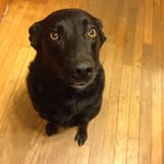 @joel_bowl_messer - Instagram