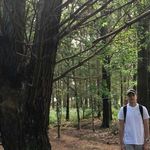 Joel - @joel.miller._ - Instagram