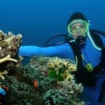 Joel Mitchell - @joel.mitchell.79 - Instagram