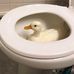 Joel Morrow - Facebook