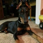 Joel Morton - @morton2415 - Instagram