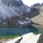 Joël Mottard - @joelmottard - Instagram