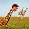 Joel Muller - @joel.muller20 - TikTok