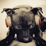 joel mullis - @stylex_3 - Instagram