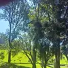 Joel Mwangi - @joel.mwangi26 - TikTok