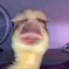 Joelnagler - @417....joelo - TikTok