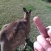 Joel Naylor - Facebook