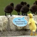 Joel - @joel.neumann1 - Instagram