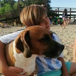 joel - @joel_neuman_ja - Instagram