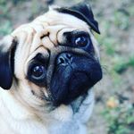 Taber Joel Neuman - @taber_neuman - Instagram