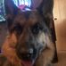 Joel Newcomb - Facebook