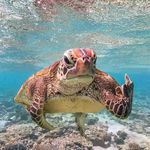 Joel Newcomb - @joelnewcomb1276 - Instagram
