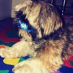 felix joel nilsson linnerud - @felixlinnerud - Instagram