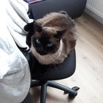 Joel nowak - @nowak2195 - Instagram