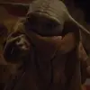 spyderXl - @joelnuss - TikTok