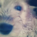 Joel Nussbaum - @nussbaum.joel - Instagram