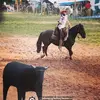 Joel Oliveira - @joeloliveira0891 - TikTok